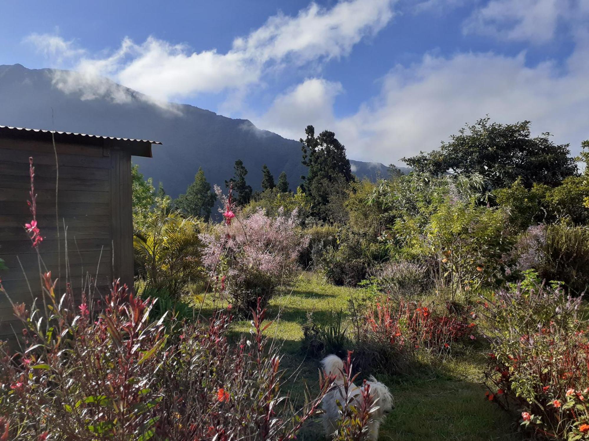 لا بلين دو بالميزتيه Le Clos Des Mimosas المظهر الخارجي الصورة